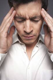 Draft Agendas 2015-2016 Updates from our Partners