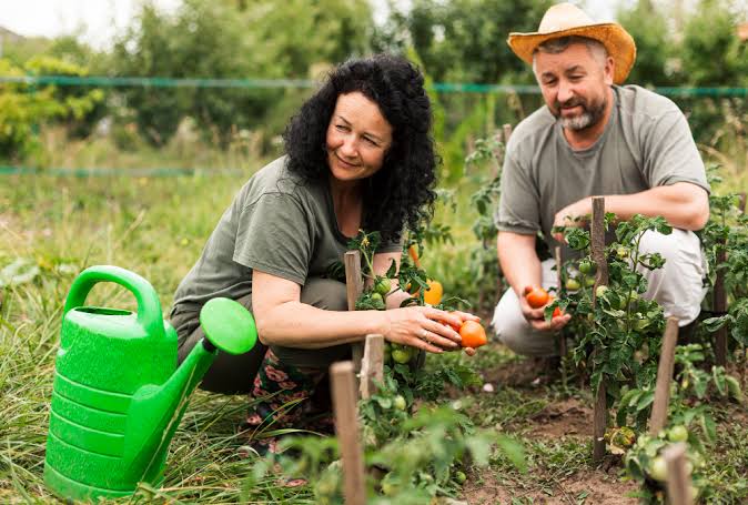Agriculture vivrière principes avantages et rôle local durable