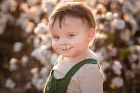 Stock Image Search Results