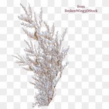 Most smc cbgs have blank space above them. Free Snow Png Transparent Images Pikpng