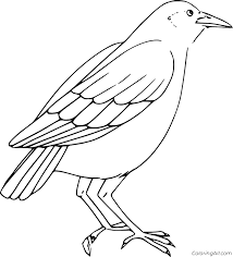 Select from 35870 printable coloring pages of cartoons, animals, nature, bible and many more. Simple Crow Coloring Page Coloringall