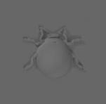 Molde de resina para decoración de insectos escarabajo hecho a mano