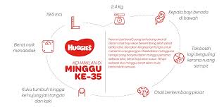 Walaupun nilai kepraktisannya tidak sebaik kemasan pouch, anda bisa memanfaatkan jar kosong sisa bubur untuk menyimpan. Hamil 35 Minggu Petua Hamil 3rd Trimester Huggies My