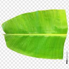 Banana Leaf Png Images Banana Leaf Green Banana Banana