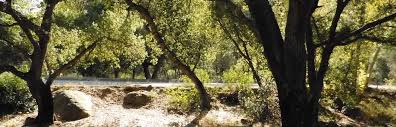 Check spelling or type a new query. Wheeler Gorge Campground Los Padres Ca 14 Hipcamper Reviews And 26 Photos