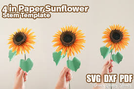 Download Paper Sunflower Stem Template Graphic By Deaney Weaney Blooms Creative Fabrica