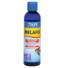 Api Melafix For Aquariums 4 Oz Petco Aquarium Fish Bacterial Infection Antibacterial