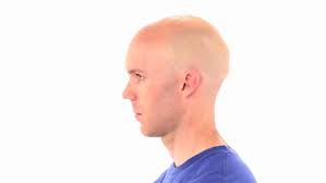 Clinician Notes Seated Scapular Retraction Seated Cervical Retraction