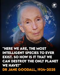 Remembering Jane Goodall's Legacy