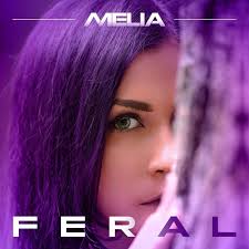 Image result for Melia