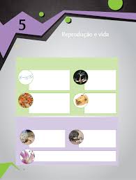 Grátis: EF 8º ANO CIÊNCIAS LIVRO DE ATIVIDADES VOLUME 3 (PROFESSOR) -  Questões Resolvidas com Gabarito em PDF