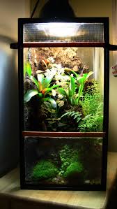 Terrarium With Water Indoor Pond Outdoor Ponds Terrarium