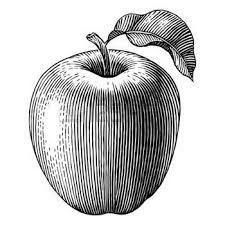 Pin By Sally Jones On Carnets Engraving Illustration Ink Art Apple Vector
