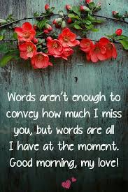 100 Most Romantic Good Morning My Love Quotes Images Good Morning Love Morning Love Quotes Morning Quotes For Him