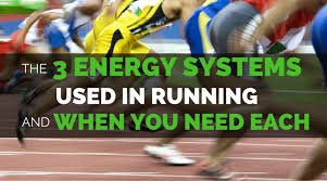 Fundamentally—if all three nutrients are abundant in the diet—carbohydrates and fats will be used primarily for energy while proteins. 3 Energy Systems Used In Running And When You Need Each Runners Connect