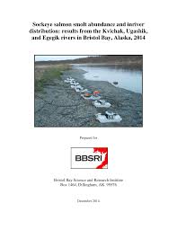 We did not find results for: The Ugashik River Watershed Showing Locations Of Sonar Systems And Download Scientific Diagram