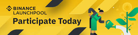 What is the best cryptocurrency to invest in 2021? Binance Launchpool Boosting Crypto Projects Holders Alike Binance Blog