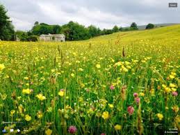 What are some of the property amenities at milton park country house hotel & spa? Summer Meadows Askrigg Picture Of Milton House Bed Breakfast Askrigg Tripadvisor