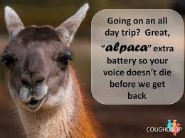 Aac Animal Advice Memes From Coughdrop Aac Speech Path Assistive Technology