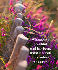 Beautiful Soul Birthday Of A Dead Loved One Wherever A Beautiful Soul Grieving Quotes Sympathy Quotes Grief Quotes