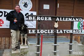 La santé du berger allemand. Bergers Allemands Un Seul Club Pour Le Haut Rtn Votre Radio Regionale