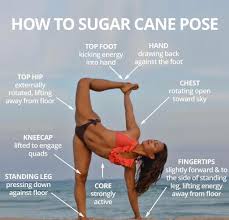 Chapasana Sugar Cane Pose Level 1 2 Yoga Asanas Ashtanga Yoga Yoga Help