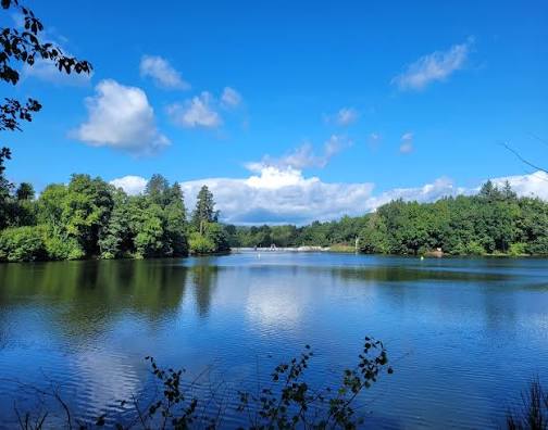 Lac de Saint-Clément en Montagne Bourbonnaise