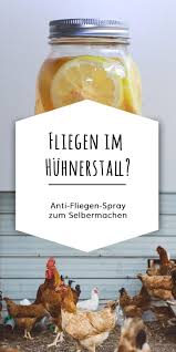 Anti Fliegen Spray Zum Selbermachen Futterautomaten Fur Huhner Huhner Huhner Futter