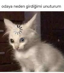Bi Takip Alirim 2020 Komik Seyler Komik Hikayeler Komik Capsler