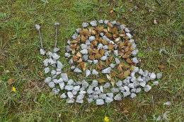 Students may present their responses to the class. Environmental Art Lea Green