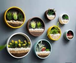 No matter which plants you choose, it's key to research your plants to make sure they have the same growing needs. Ideas For Plants In Terrariums