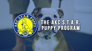 Check spelling or type a new query. Akc Canine Good Citizen Program Info Wet Nose Dog Training