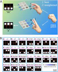 Removal is only possible with a . Human Hand As A Powerless And Multiplexed Infrared Light Source For Information Decryption And Complex Signal Generation Pnas