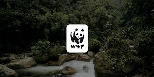 It was formerly named the world wildlife fund, which remains its official name in canada and the united states. Wwf Endangered Species Conservation World Wildlife Fund