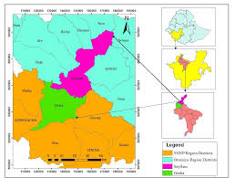 Image result for Vernonia ituriensis
