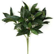 Check spelling or type a new query. Plantart Artificial Bay Leaf And Leaves