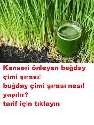 Kanseri Onleyen Bugday Cimi Sirasi Nasil Yapilir Saglikli Yasam Tarzi Dogal Saglik Dogal Receteler