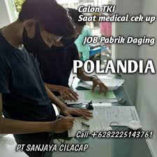 Polandia adalah negara yang terletak di benua eropa yang berbatasan dengan jerman di sebelah barat ceko, dan slowakia di sebelah selatan. Job Polandia Harga 46jt 01 Polandia Job Pabrik Resmi Facebook
