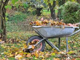 Pourquoi Il Ne Faut Jamais Bruler Les Feuilles Mortes Du Jardin Feuilles Mortes Jardinage Vintage Jardins