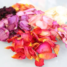 How To Dry Rose Petals Dried Rose Petals Drying Roses Fresh Rose Petals