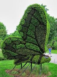 Butterfly Topiary Garden Garden Art Topiary
