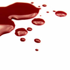 Personalitate puternica, un instinct de supravietuire exacerbat, spirit de competitie. Grupa Sanguina 01 Grupa Sanguina 0