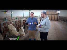 Veteriner Hekimin Not Defteri Ic Dis Parazit Asi Uygulamasi Youtube