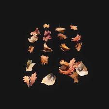 Download Free 3d Model Dry Leaves Mikhail Sizov Dry Leaf 3d Model Leaves