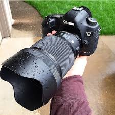 Canon 6d Sigma 35mm 1 4 Art Sweet Shot Of Canon 5d Mark Iii With Sigma 85mm F 1 4 Art Wildlogan85 Dm Us For A Pai Best Camera For Photography Canon Camera Photography Canon Dslr Camera