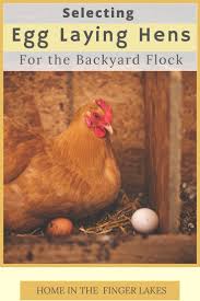 Check spelling or type a new query. How To Keep Birds Out Of Chimney The Guide Ways
