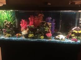 Check spelling or type a new query. Top Fin Coral Plant Rocky Aquarium Ornament Fish Ornaments Petsmart