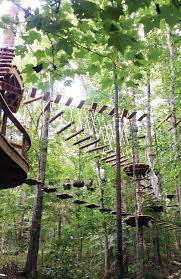 Knoxville Tn Navitat A Treetop Adventure Park With Ziplines Bridges Swings Nets Elevated Tunnels And More Peyzaj Mimarisi Manzara Ormanlar