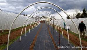 Putting up the Caterpillar Tunnels