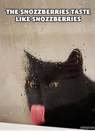 Snozzberries Cats Cute Animals Funny Cats